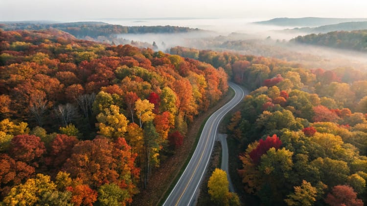 autumn-road-through-colorful-forest-with-morning-f-2026-03-27-02-04-26-utc